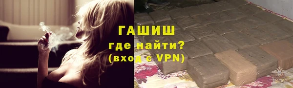 ПСИЛОЦИБИНОВЫЕ ГРИБЫ Козловка