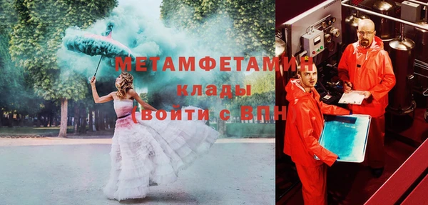 ПСИЛОЦИБИНОВЫЕ ГРИБЫ Козловка