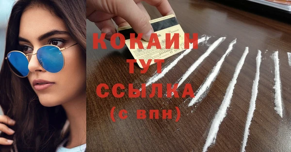 ПСИЛОЦИБИНОВЫЕ ГРИБЫ Козловка