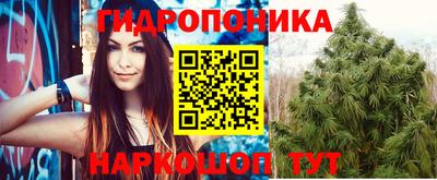 эйфоретик Бийск