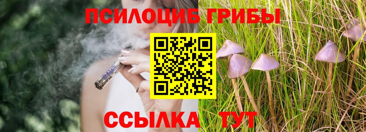 Псилоцибиновые грибы прущие грибы  Вход с VPN  Сургут  Псилоцибиновые грибы MAGIC MUSHROOMS 