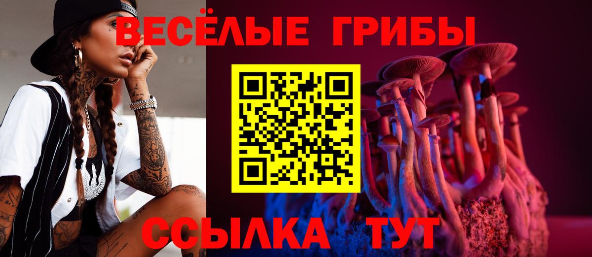 Галлюциногенные грибы прущие грибы  Сургут 